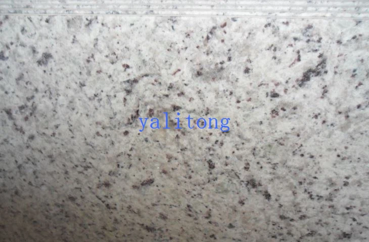 White Rose Granite Countertops